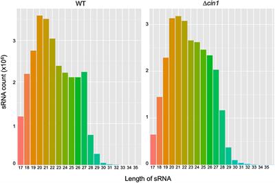 Transcriptomic Analysis of Extracellular RNA Governed by the Endocytic Adaptor Protein Cin1 of Cryptococcus deneoformans